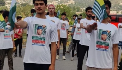 kashmiris observe 10th death anniversary of burhan wani