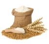 food officials suspended over collusion with wheat hoarders