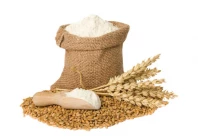 food officials suspended over collusion with wheat hoarders