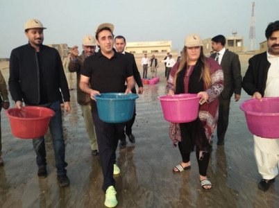 watch bilawal bakhtawar release 300 green turtles at hawkes bay beach