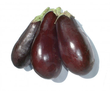 two children die after eating brinjals