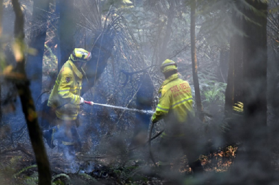 state of emergency declared as bushfires rage in australia state of emergency declared as bushfires rage in australia
