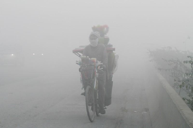 dense fog hits road rail air traffic in punjab