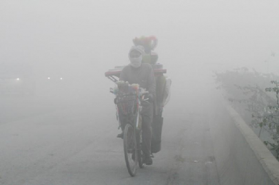 govt taking steps to fight climate change govt taking steps to fight climate change