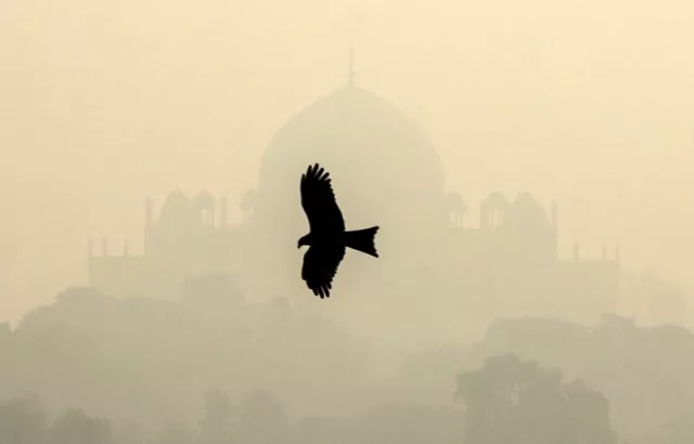 photo reuters photo reuters