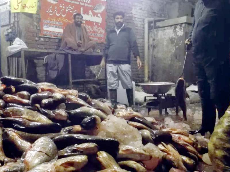 fishy affair sale triples in winter