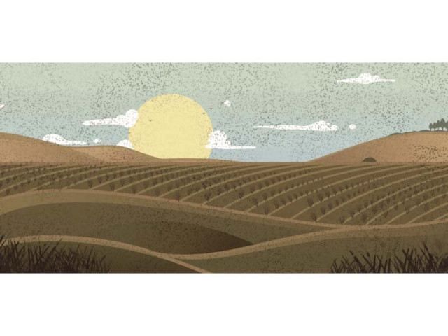 illustration mohsin alam illustration mohsin alam