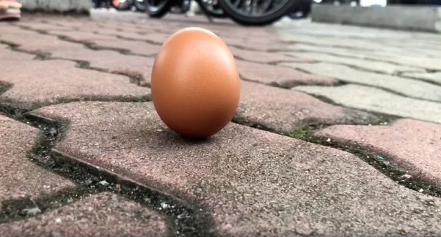 an egg is seen on the ground in shah alam kuala lumpur photo reuters