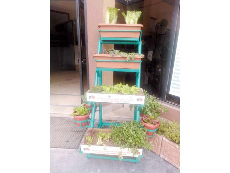 a stand used for kitchen gardening photo express