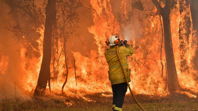 photo afp