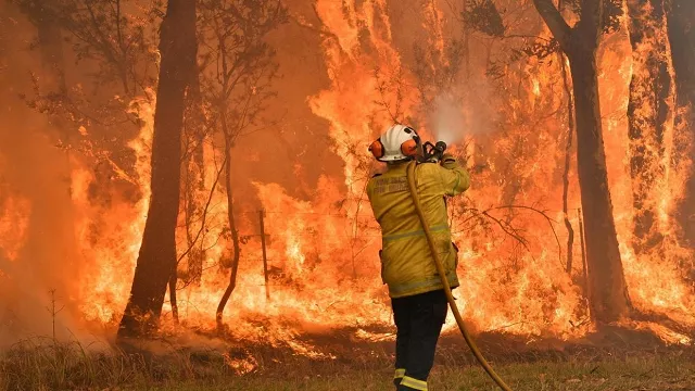 photo afp photo afp