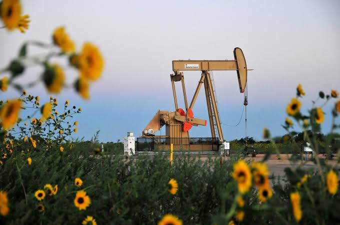 eia expects average crude prices to be lower in 2020 than in 2019 owing to rising inventories photo reuters