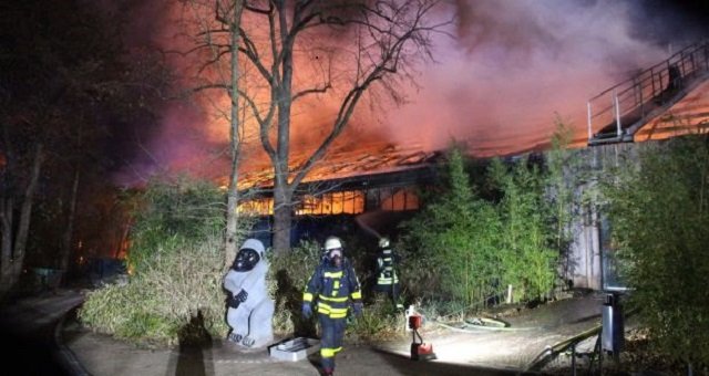 firemen work at the burning monkey house of the zoo in krefeld western germany early on new year s day photo afp