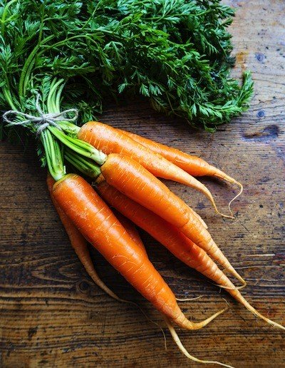 scientists develop carrot bed planter