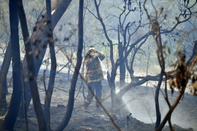 australia counts cost after day of fire fury australia counts cost after day of fire fury