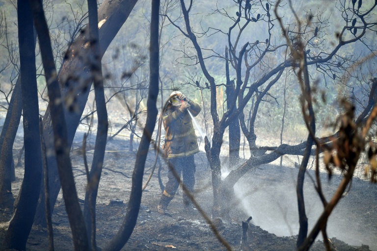 tens of thousands of volunteer firefighters have been hailed in australia and across the world for their unrelentling battle against the blazes photo afp