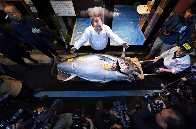 kiyoshi kimura president of kiyomura corp operator of japanese sushi chain sushizanmai poses with a bluefin tuna that was auctioned for 193 million japanese yen photo reuters