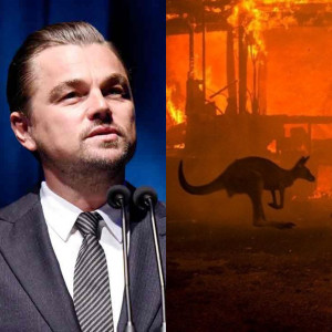australiafires celebrities express concern over raging climate change crisis