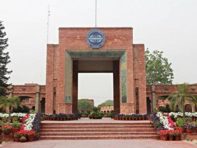 all is pretty opens at comsats all is pretty opens at comsats