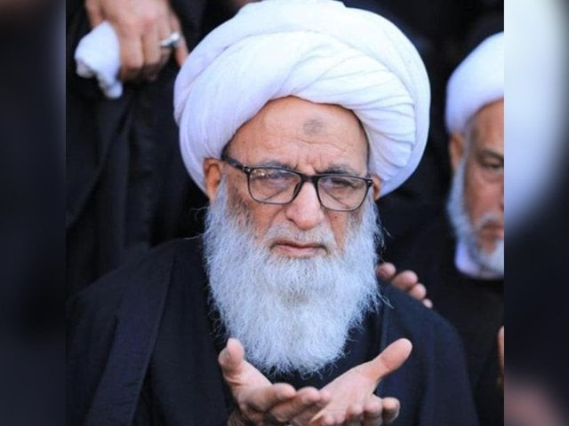 ayatollah bashir najafi is one of the most important religious figures in iraq and for shias around the world photo alnajafy com ayatollah bashir najafi is one of the most important religious figures in iraq and for shias around the world photo alnajafy com