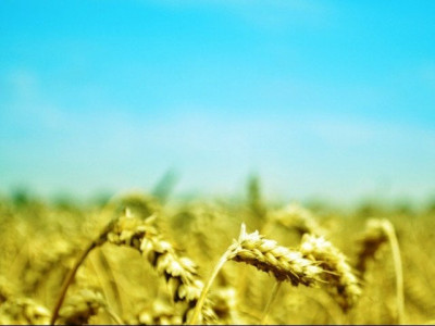 country faces trade deficit in food products country faces trade deficit in food products