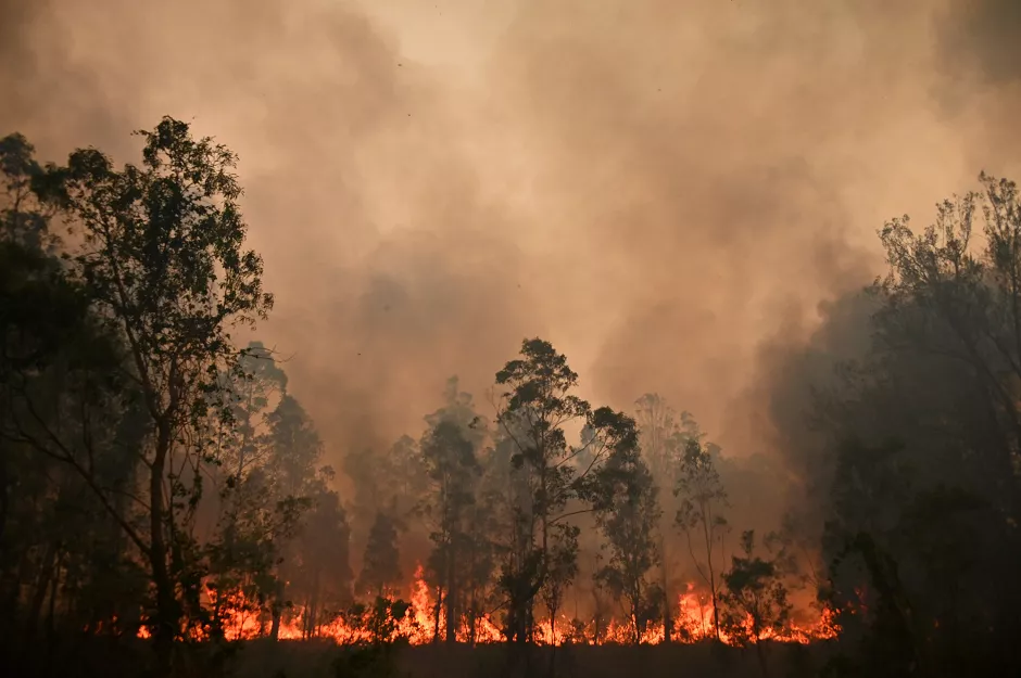 photo afp photo afp