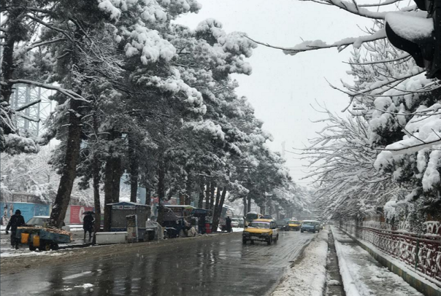 heavy snow caused the roofs of two houses to collapse killing at least eight people in herat photo tolonews
