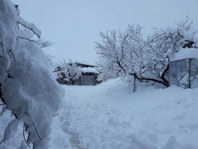 at least 14 killed as heavy rain snow lashes parts of country at least 14 killed as heavy rain snow lashes parts of country
