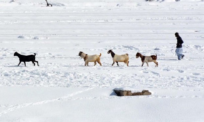 dozens dead as heavy snow rain spell disaster in pakistan dozens dead as heavy snow rain spell disaster in pakistan