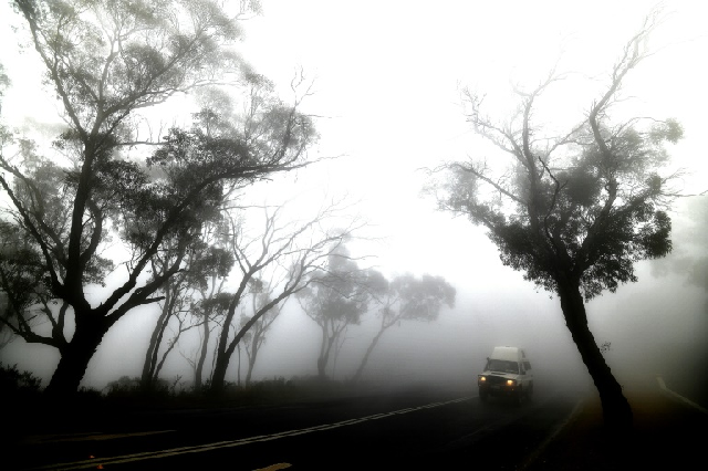 photo afp