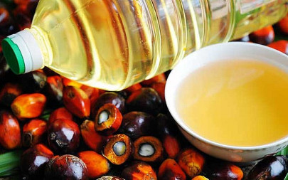 pakistan s demand for palm oil rising 4 5 each year pakistan s demand for palm oil rising 4 5 each year