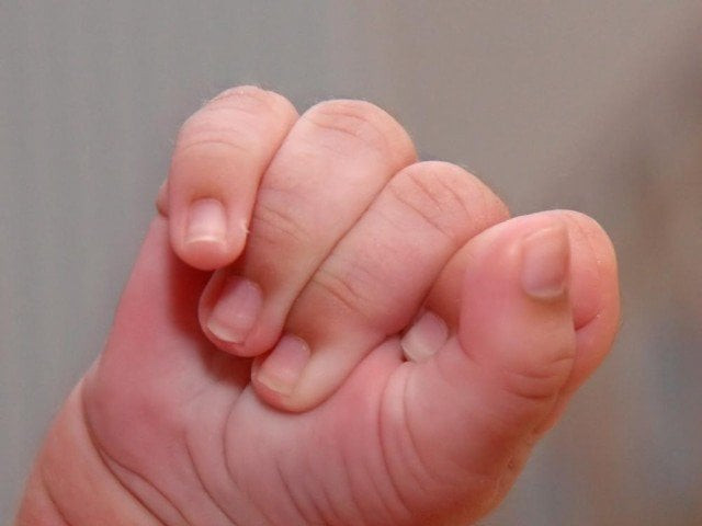 the three hour old baby was attacked by the pack of dogs who got into the hospital through a window representational image the three hour old baby was attacked by the pack of dogs who got into the hospital through a window representational image