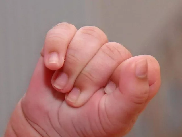 the three hour old baby was attacked by the pack of dogs who got into the hospital through a window representational image the three hour old baby was attacked by the pack of dogs who got into the hospital through a window representational image