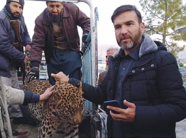 locals shoot dead leopard after attack on residents in swat