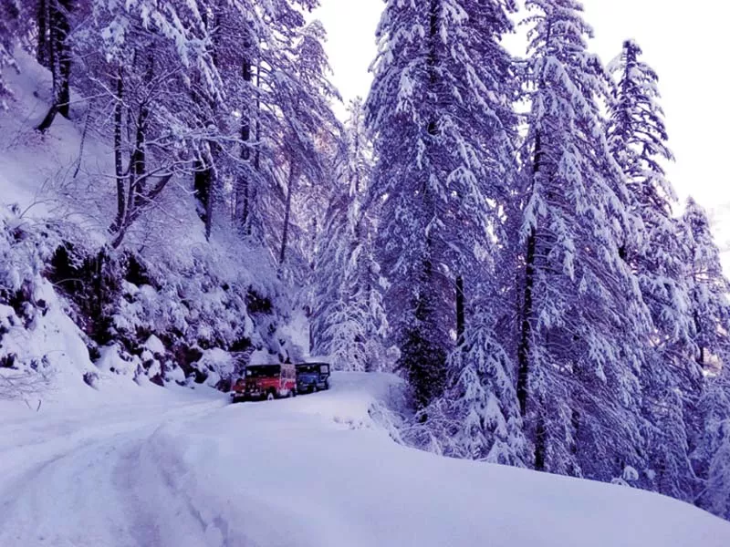 tourists on their way to the snow capped shogaran in kaghan valley photo express tourists on their way to the snow capped shogaran in kaghan valley photo express