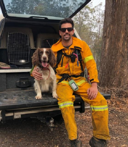search dog taylor a bushfire hit koala s best friend search dog taylor a bushfire hit koala s best friend