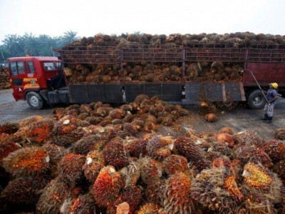 malaysia talks to india over palm curbs as wider trade dispute looms malaysia talks to india over palm curbs as wider trade dispute looms