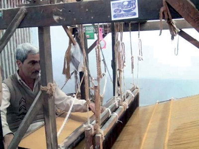 millennia old brown cotton a rarity on verge of extinction millennia old brown cotton a rarity on verge of extinction