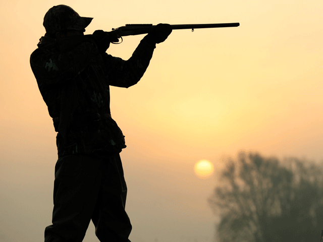 sindh lifts ban on bird hunting for next four months sindh lifts ban on bird hunting for next four months