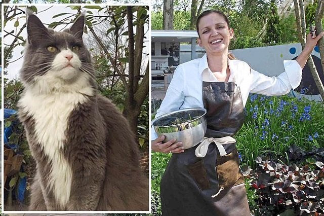 nicola lesbirel befriended ozzy after he visited her london home photo courtesy evening standard nicola lesbirel befriended ozzy after he visited her london home photo courtesy evening standard