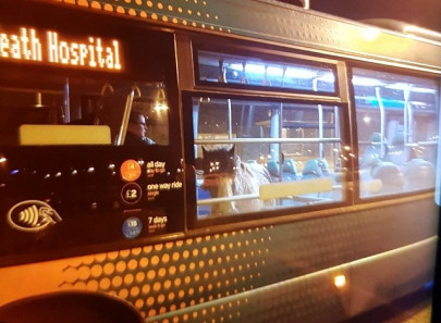 horse takes a bus ride in wales