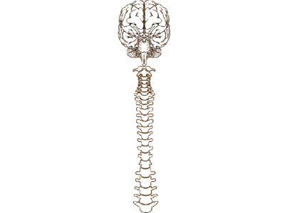 govt mulls declaring sir cowasjee jehangir institute national heritage site govt mulls declaring sir cowasjee jehangir institute national heritage site