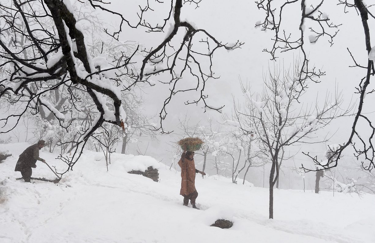 a woman carries a basket on her head during snowfall srinagar kashmir photo reuters