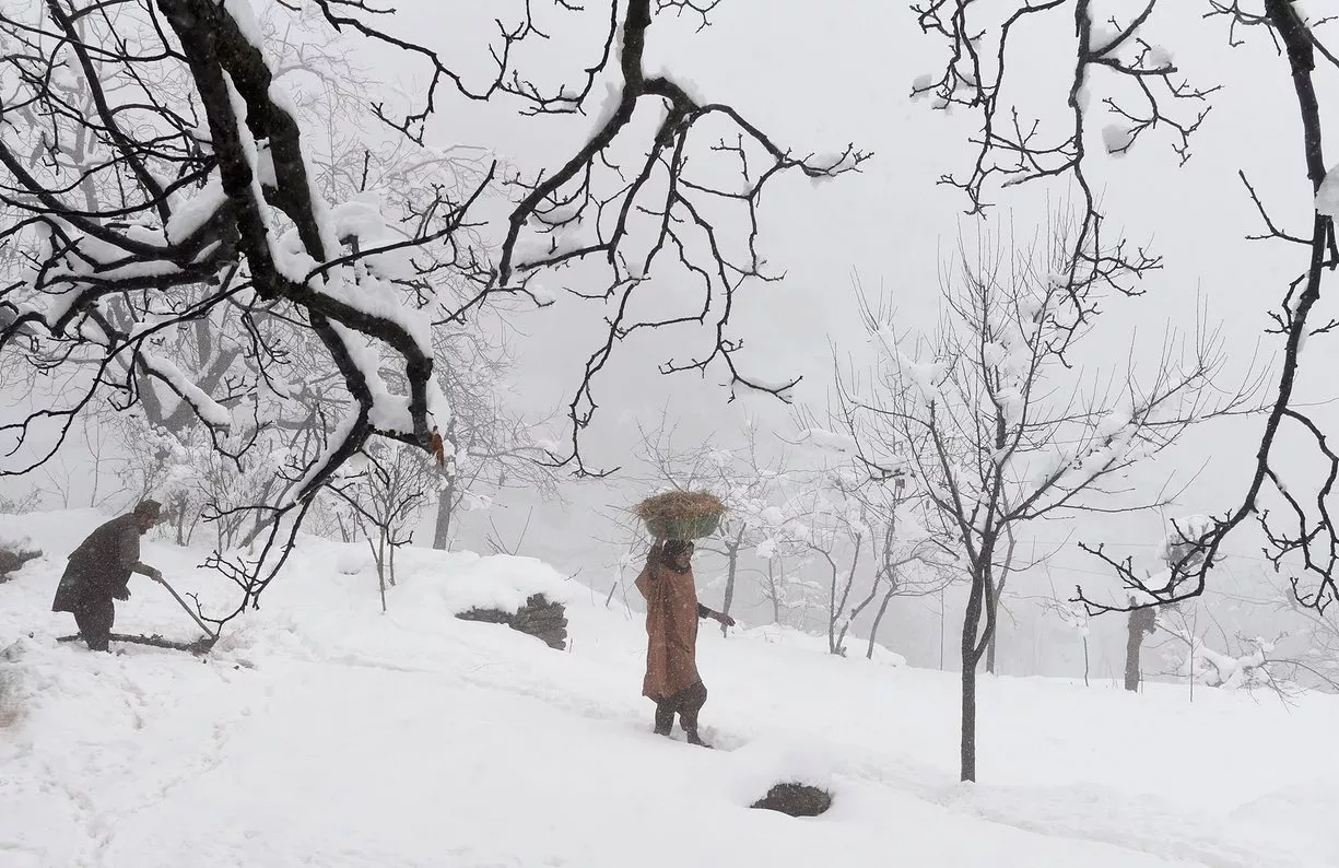 a woman carries a basket on her head during snowfall srinagar kashmir photo reuters a woman carries a basket on her head during snowfall srinagar kashmir photo reuters