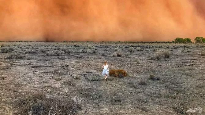 this handout photo taken on jan 17 2020 and received on jan 20 courtesy of marcia macmillan shows a child running towards a dust storm in mullengudgery in new south wales photo afp this handout photo taken on jan 17 2020 and received on jan 20 courtesy of marcia macmillan shows a child running towards a dust storm in mullengudgery in new south wales photo afp