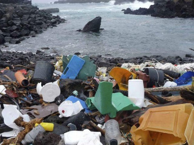 china moves on takeout containers in bid to reduce plastic waste china moves on takeout containers in bid to reduce plastic waste