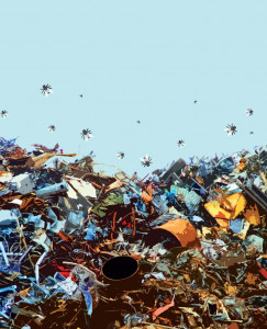 unhealthy attitude the case of an inactive incinerator