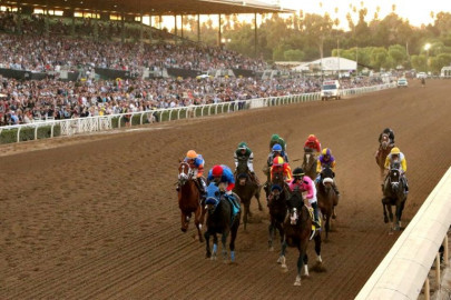three more horse deaths at santa anita track three more horse deaths at santa anita track