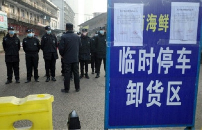 studies suggest role of bats snakes in outbreak of china virus studies suggest role of bats snakes in outbreak of china virus