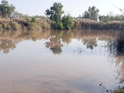 noorpur thal stricken by water borne diseases noorpur thal stricken by water borne diseases